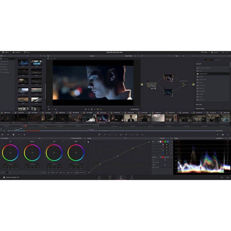 Licenza DaVinci Resolve Studio dongle - Blackmagic Design BLM-DV/RESSTUD/DONGL
