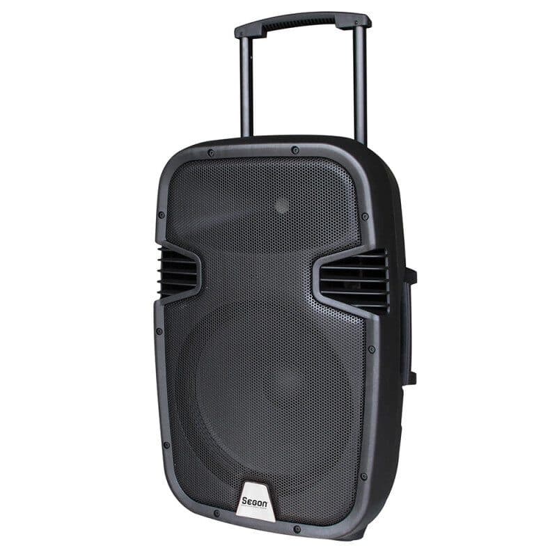 Diffusore amplificato portatile 15" 130W con 2 radiomicrofoni UHF - SEGON PROFESSIONAL AUDIO RON-02320